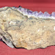 Amethyst Quartz Crystal HD97