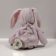 Ty Beanie Baby - Floppity Plush Toy