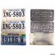 Collective USA Car Plates