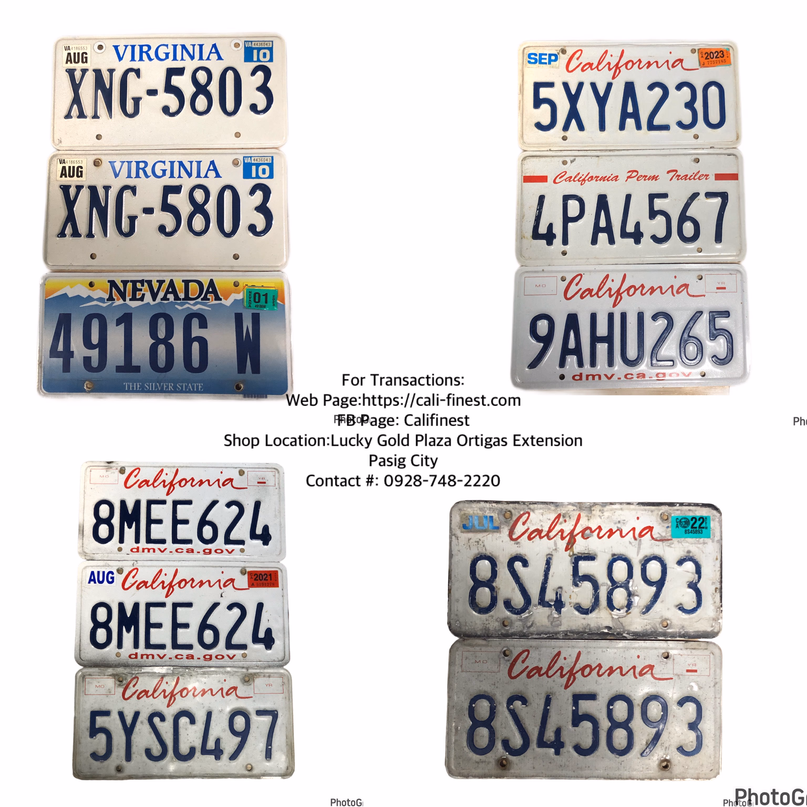 Collective USA Car Plates