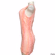 Charming Charlie Women’s Pink Orange Sleeveless Dress Size Medium