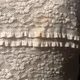 Cynthia Rowley Lace Crochet Pleated Fit & Flare Pullover Dress Beige Tan Size 4 