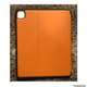 X-LEVEL iPad Pro 11”  Case   CA#6