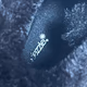 Waterproof Boots Marley Quilted Snow Black Boots for Womens