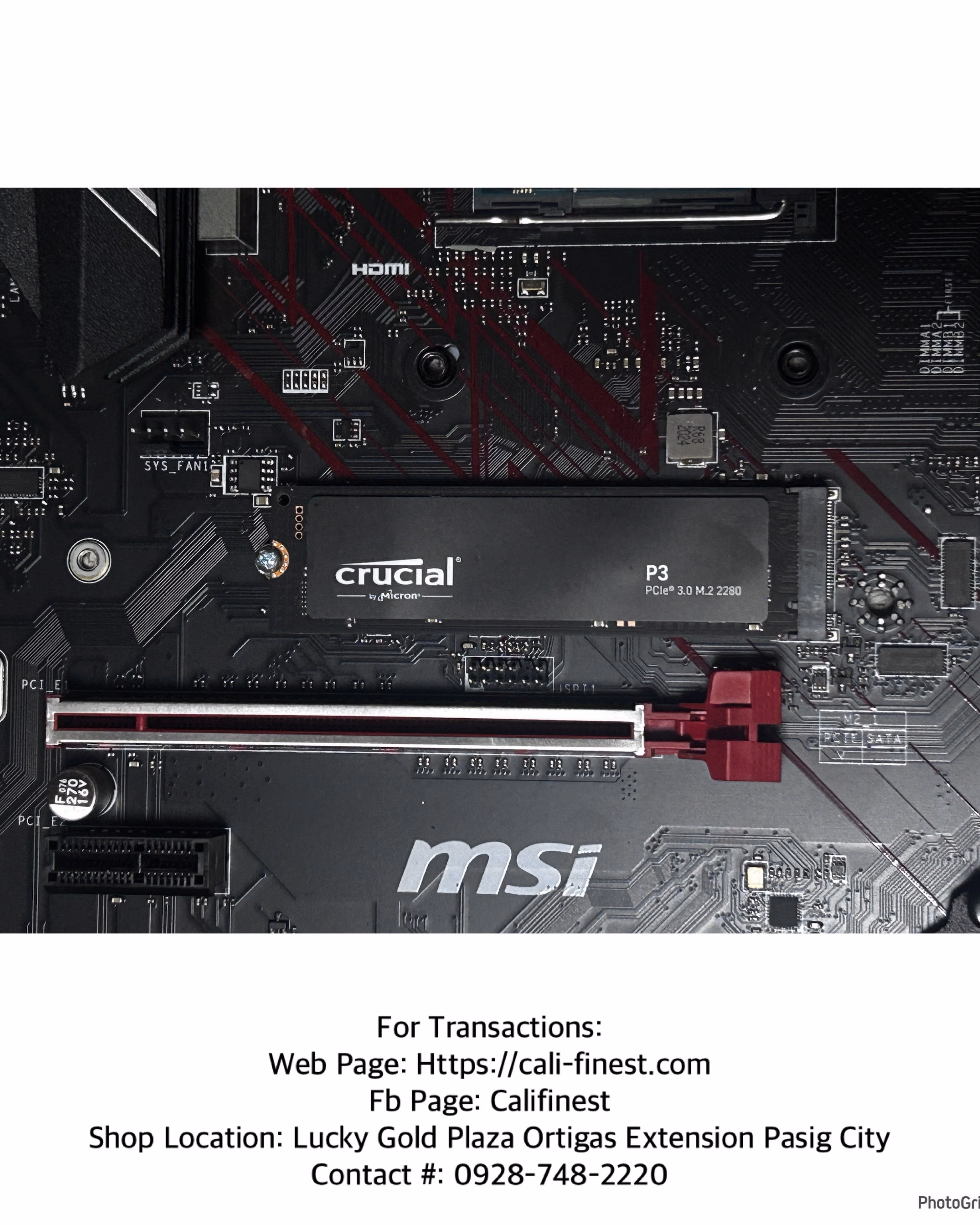 Crucial P3 1TB NVMe Gaming SSD High Performance M.2  2280