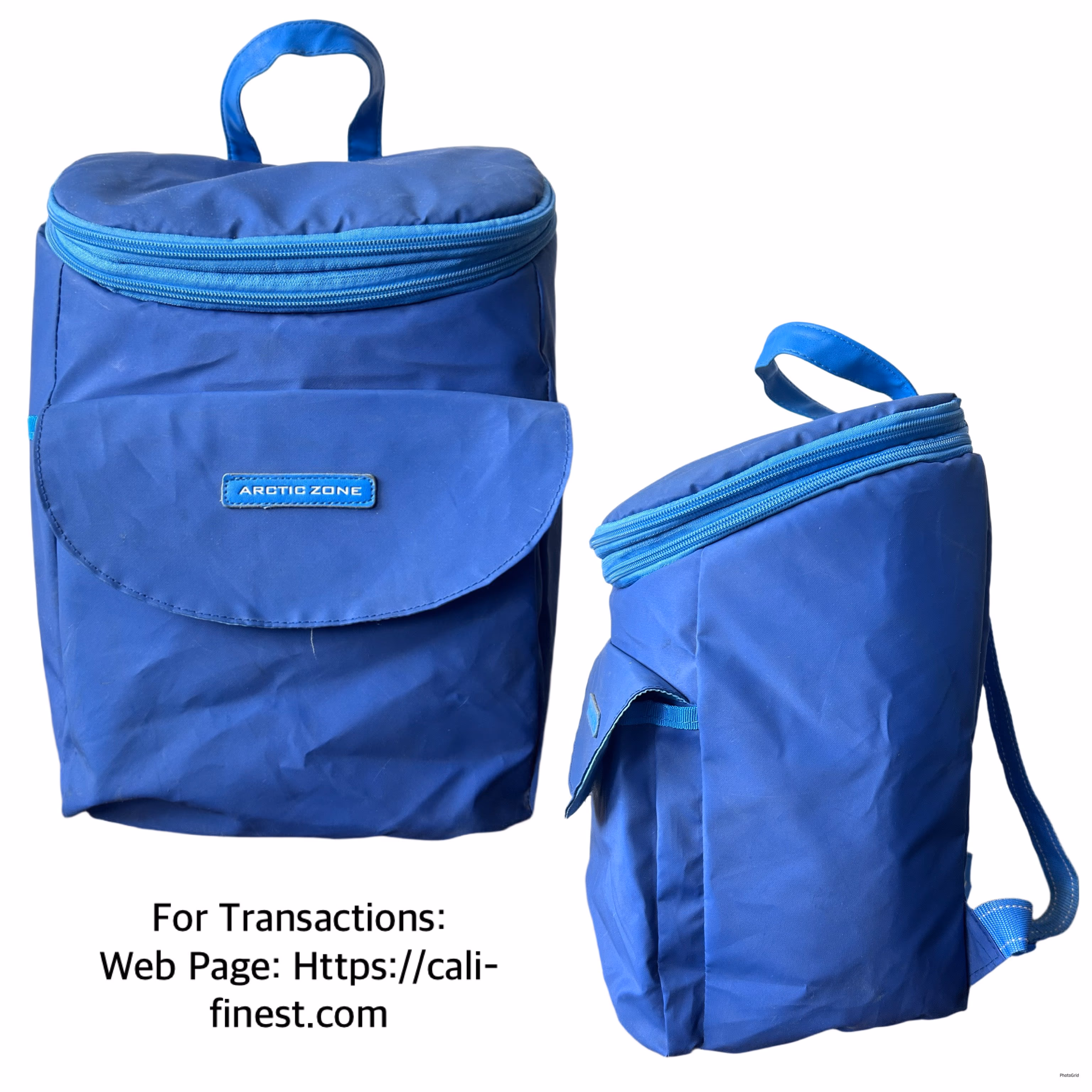 Arctic Zone Cooler Backpack in Blue