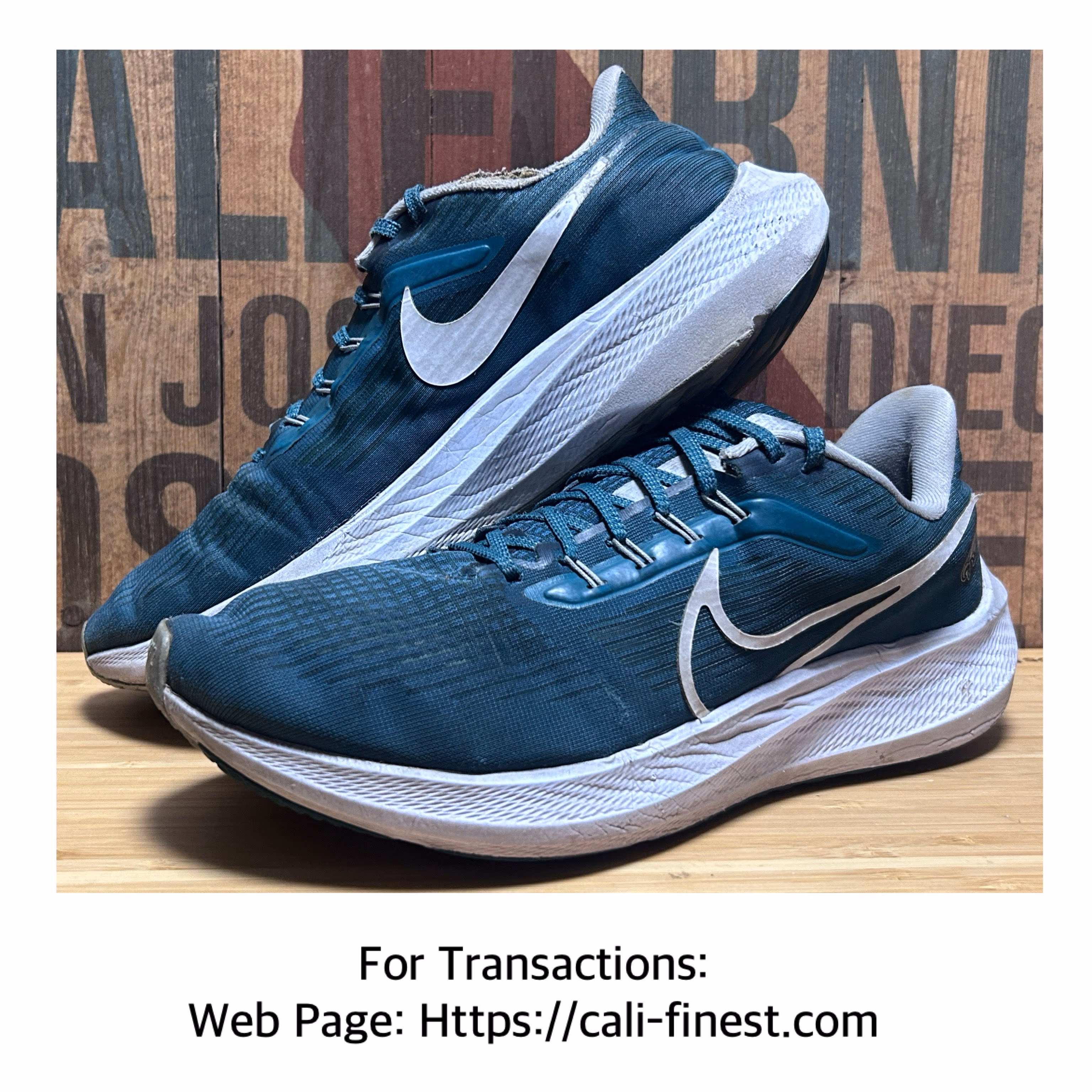 Nike NFL x Air Zoom Pegasus 39 Philadelphia Eagles DR2058-300 Men’s Size 10  S#00341