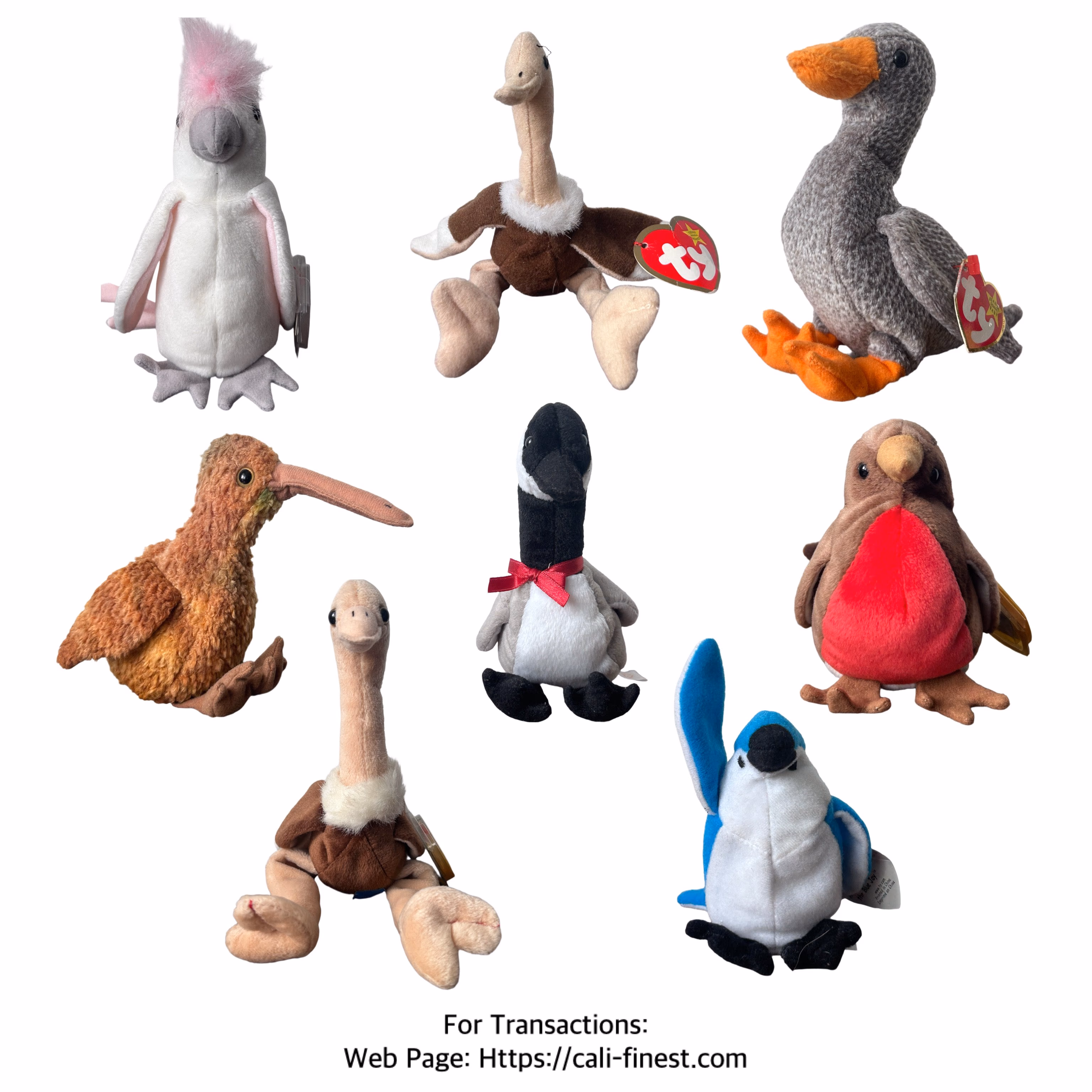 Ty Beanie Baby Birds Plush Toy Collection