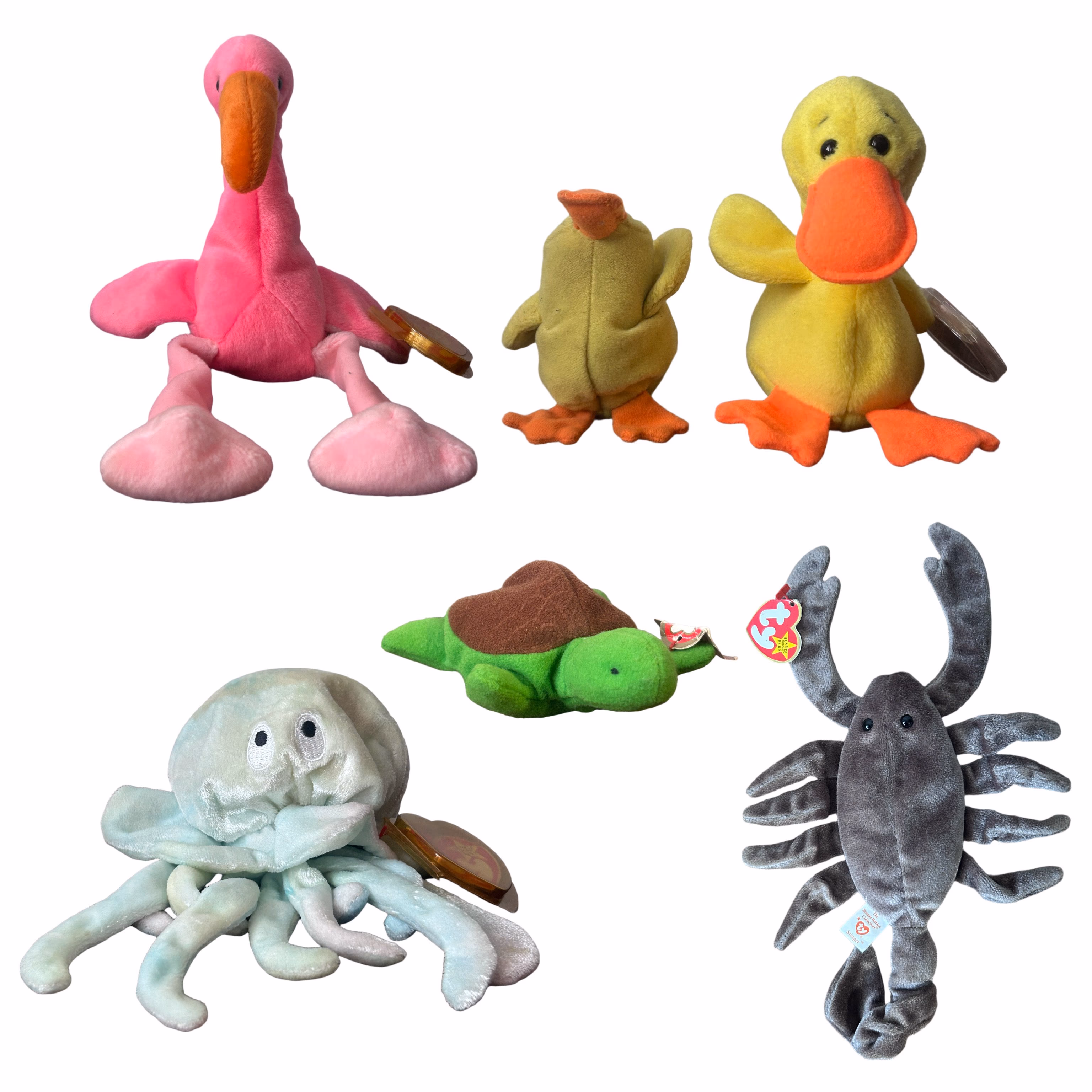 Ty Beanie Baby Aquatic Animals Plush Toys Collection