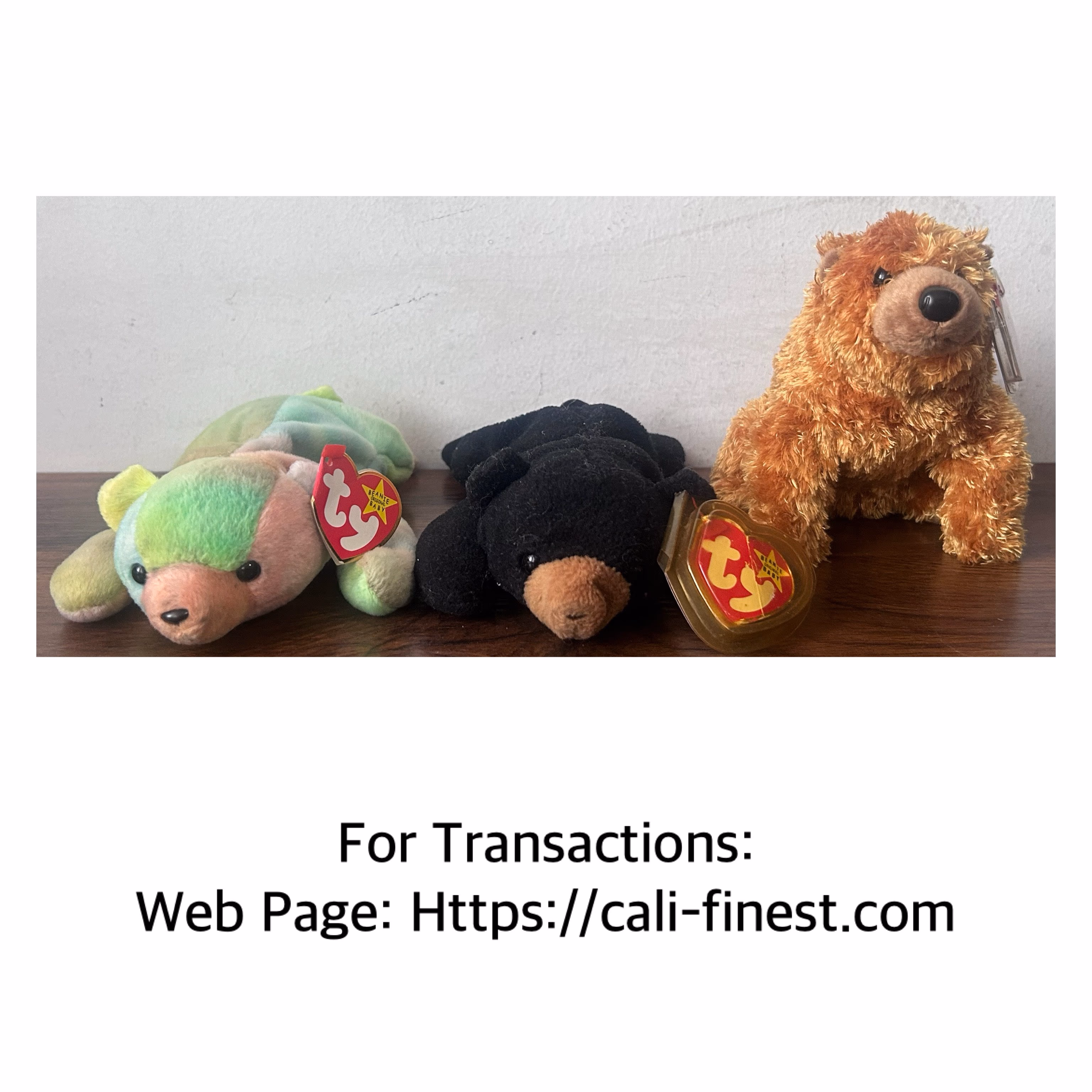 Ty Teenie Beanie Baby Collection