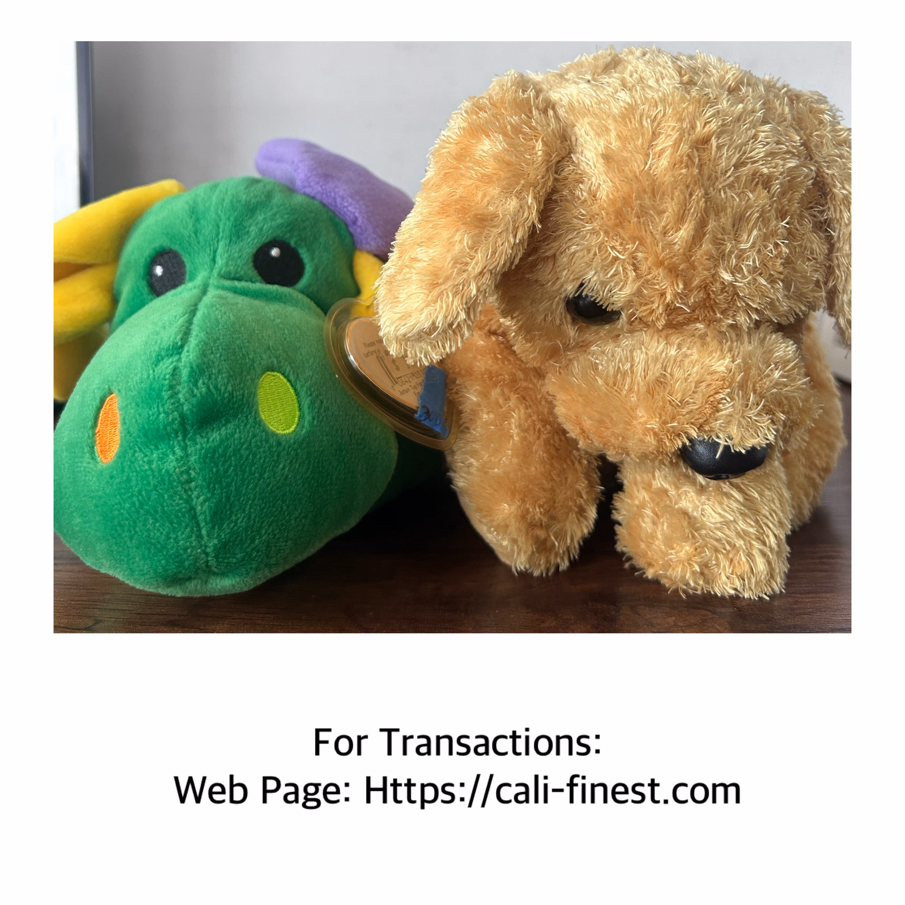 Ty Rainbow Skippy Plush Toys Collection 